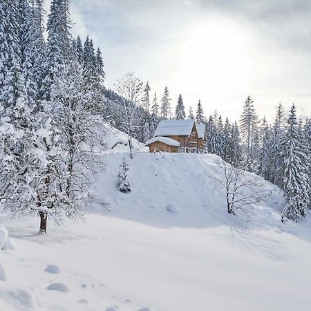 Chalets Almidylle Sankt Martin am Tennengebirge Exterior photo